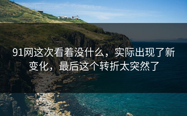91网这次看着没什么，实际出现了新变化，最后这个转折太突然了