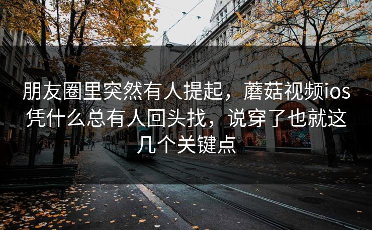 朋友圈里突然有人提起，蘑菇视频ios凭什么总有人回头找，说穿了也就这几个关键点