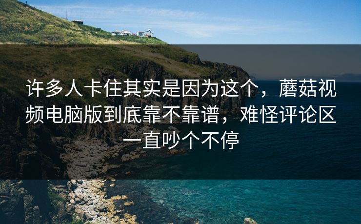 许多人卡住其实是因为这个，蘑菇视频电脑版到底靠不靠谱，难怪评论区一直吵个不停