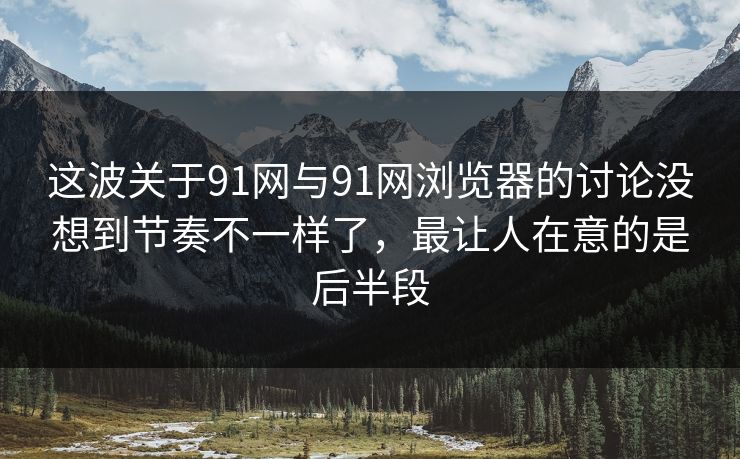 这波关于91网与91网浏览器的讨论没想到节奏不一样了，最让人在意的是后半段