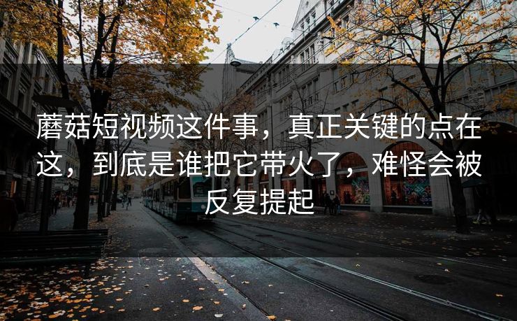 蘑菇短视频这件事，真正关键的点在这，到底是谁把它带火了，难怪会被反复提起