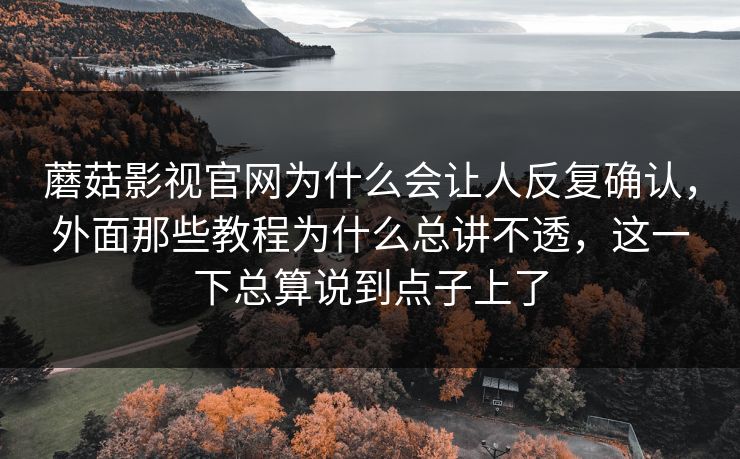 蘑菇影视官网为什么会让人反复确认，外面那些教程为什么总讲不透，这一下总算说到点子上了